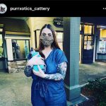 Purrxotics customer with adopted Sphynx kitten